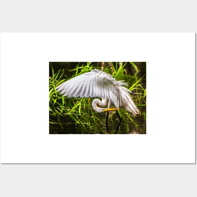 Great White Egret Wall Art by joesaladino